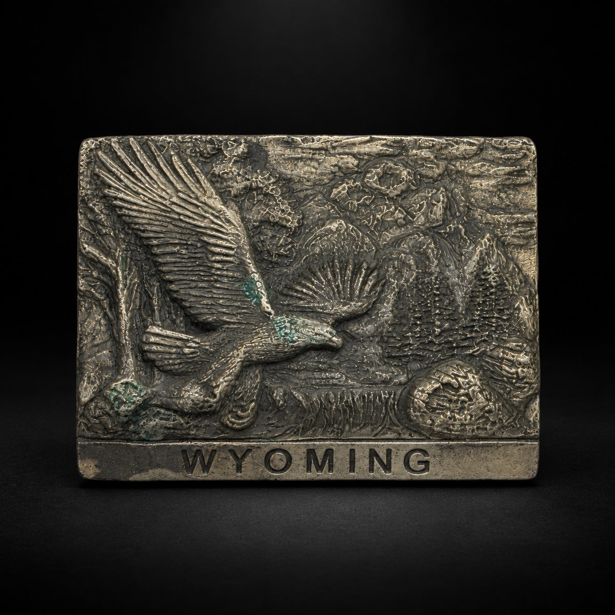Wyoming Eagle and Mountain Relief Plaque